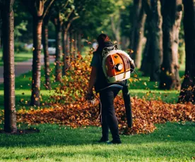 Diğer Temizlik Hizmetleri